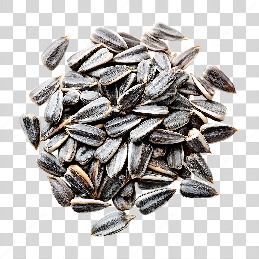 Semente de Girassol PNG Transparente