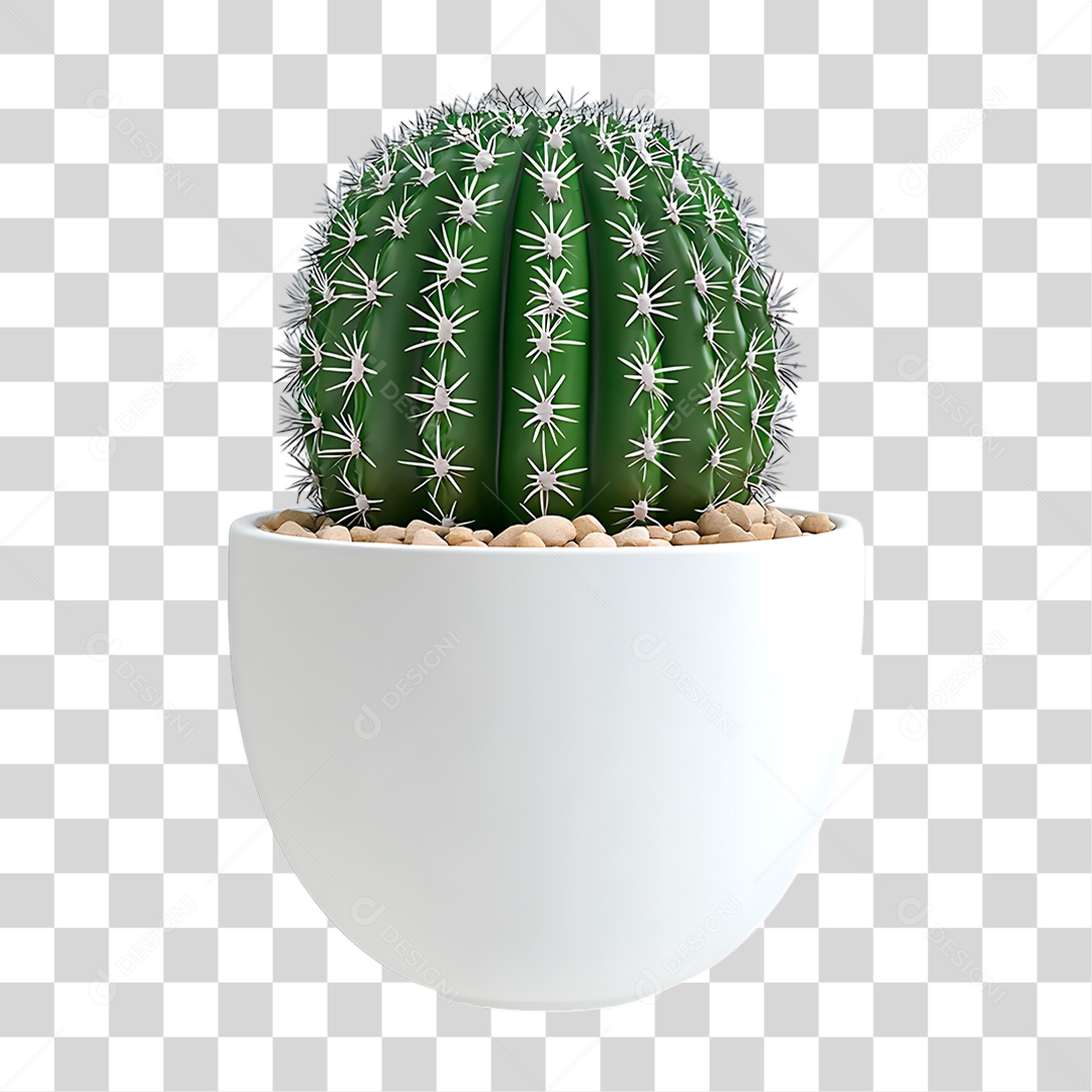 Echinocactus no Vaso PNG Transparente