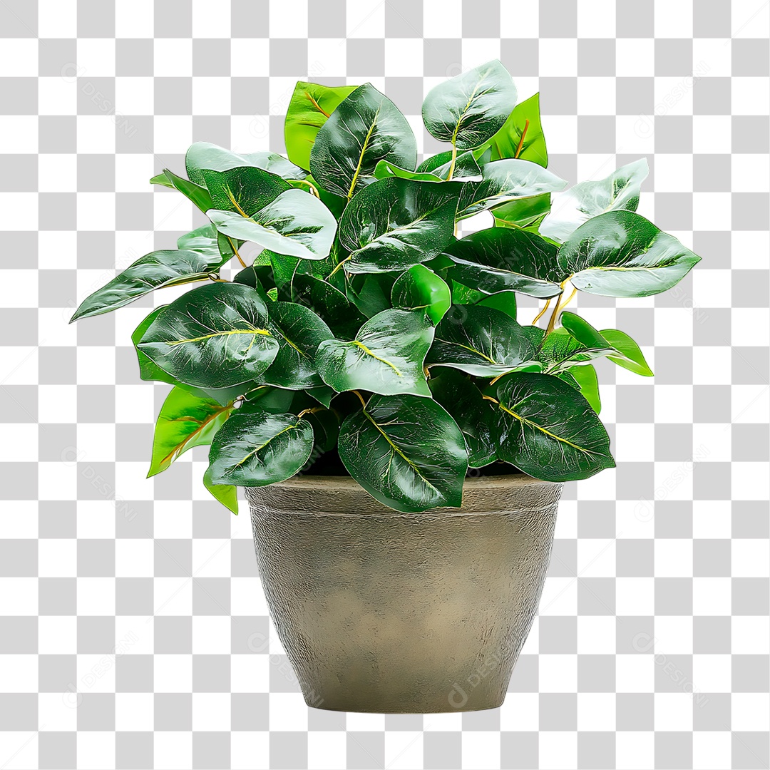 Planta PNG Transparente