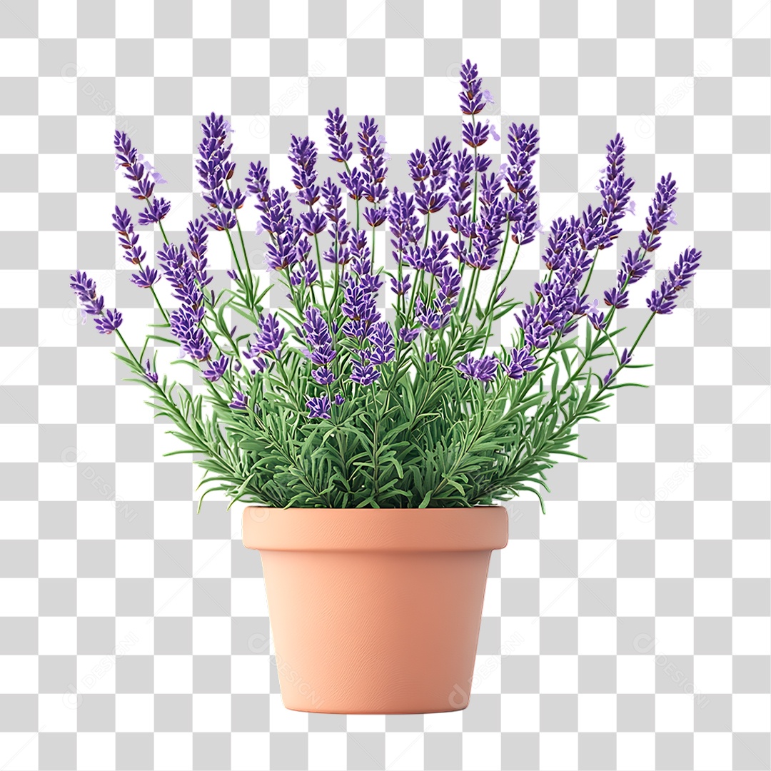 Planta Lavanda PNG Transparente