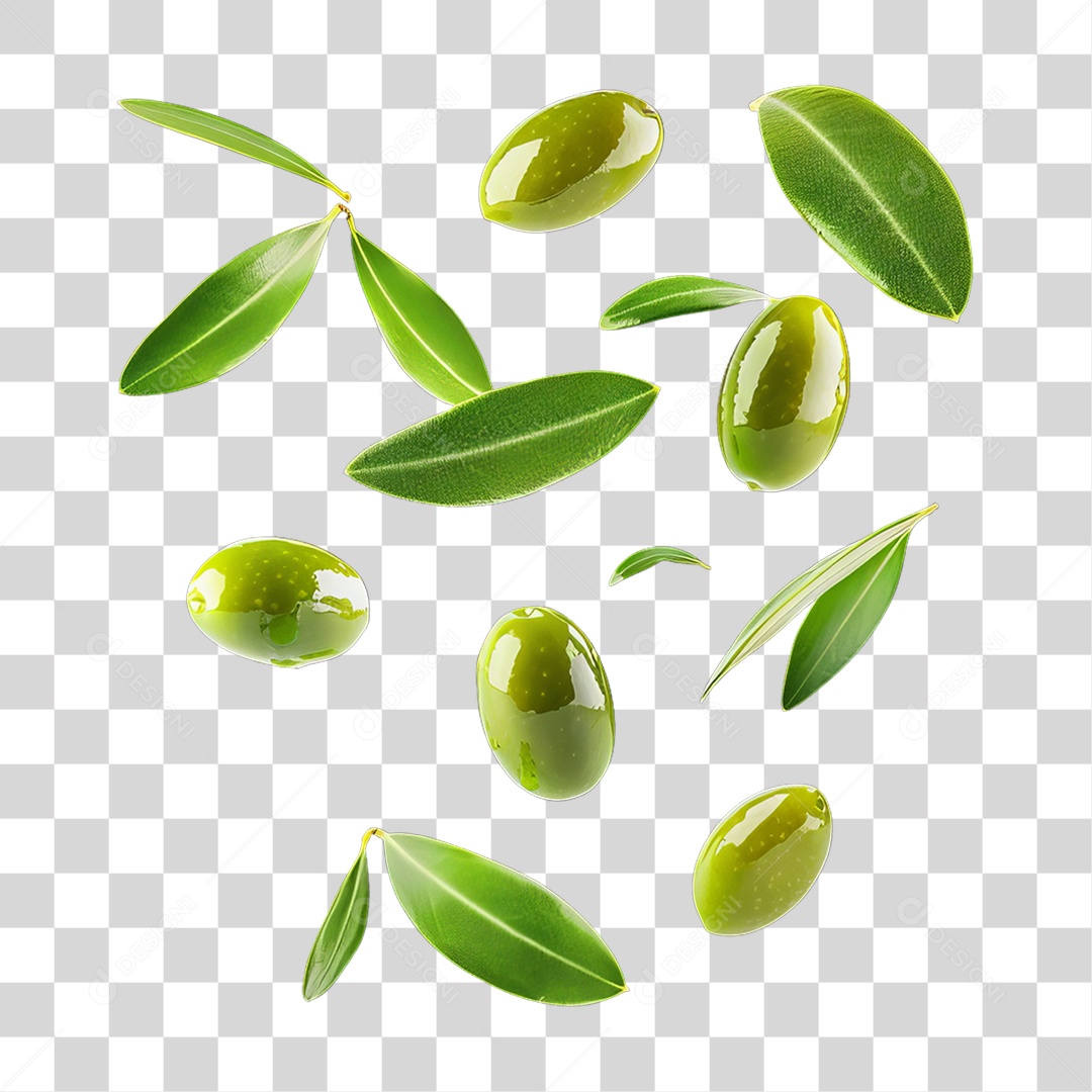 Folhas e Azeitonas PNG Transparente