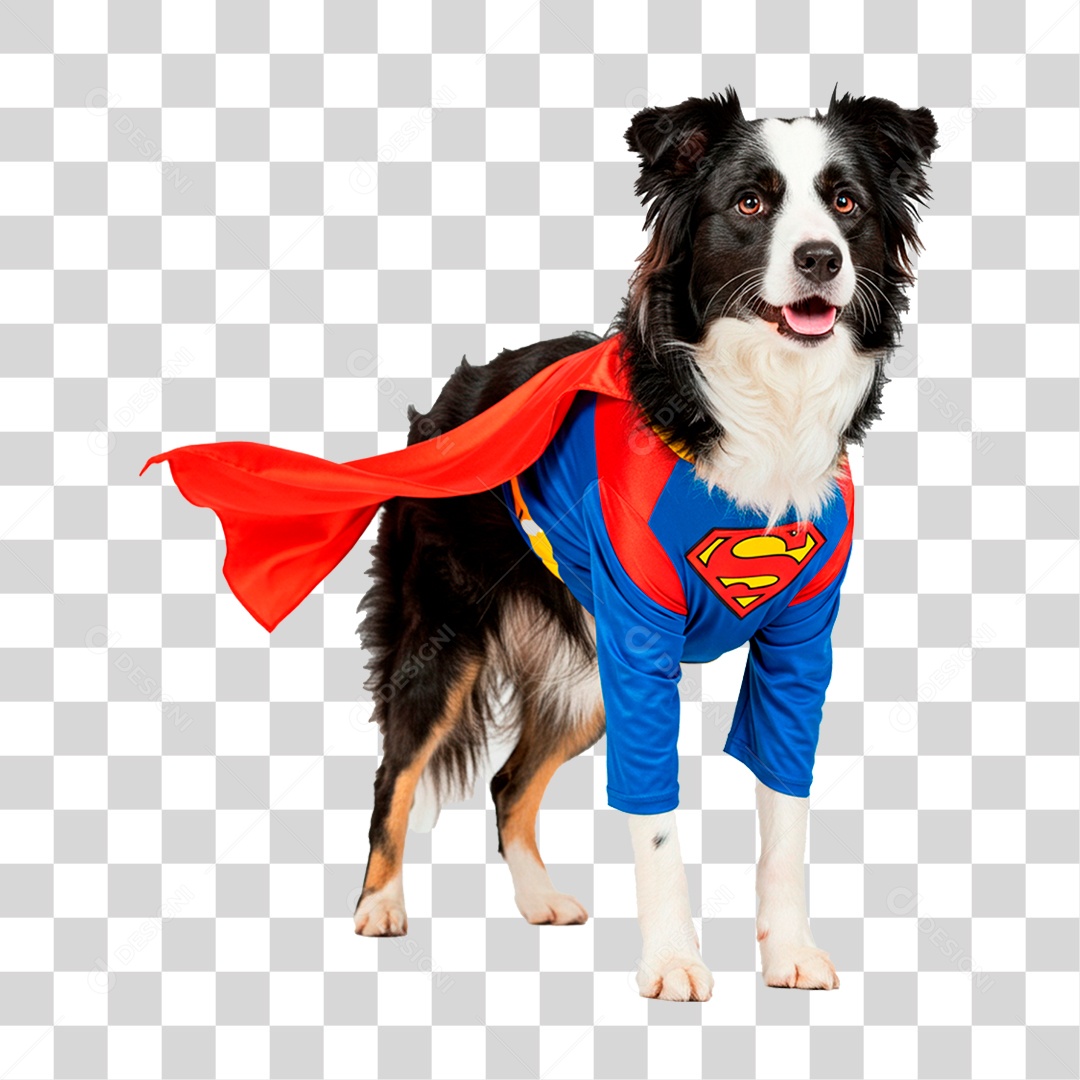 Cachorro com Fantasia Super Herói PNG Transparente