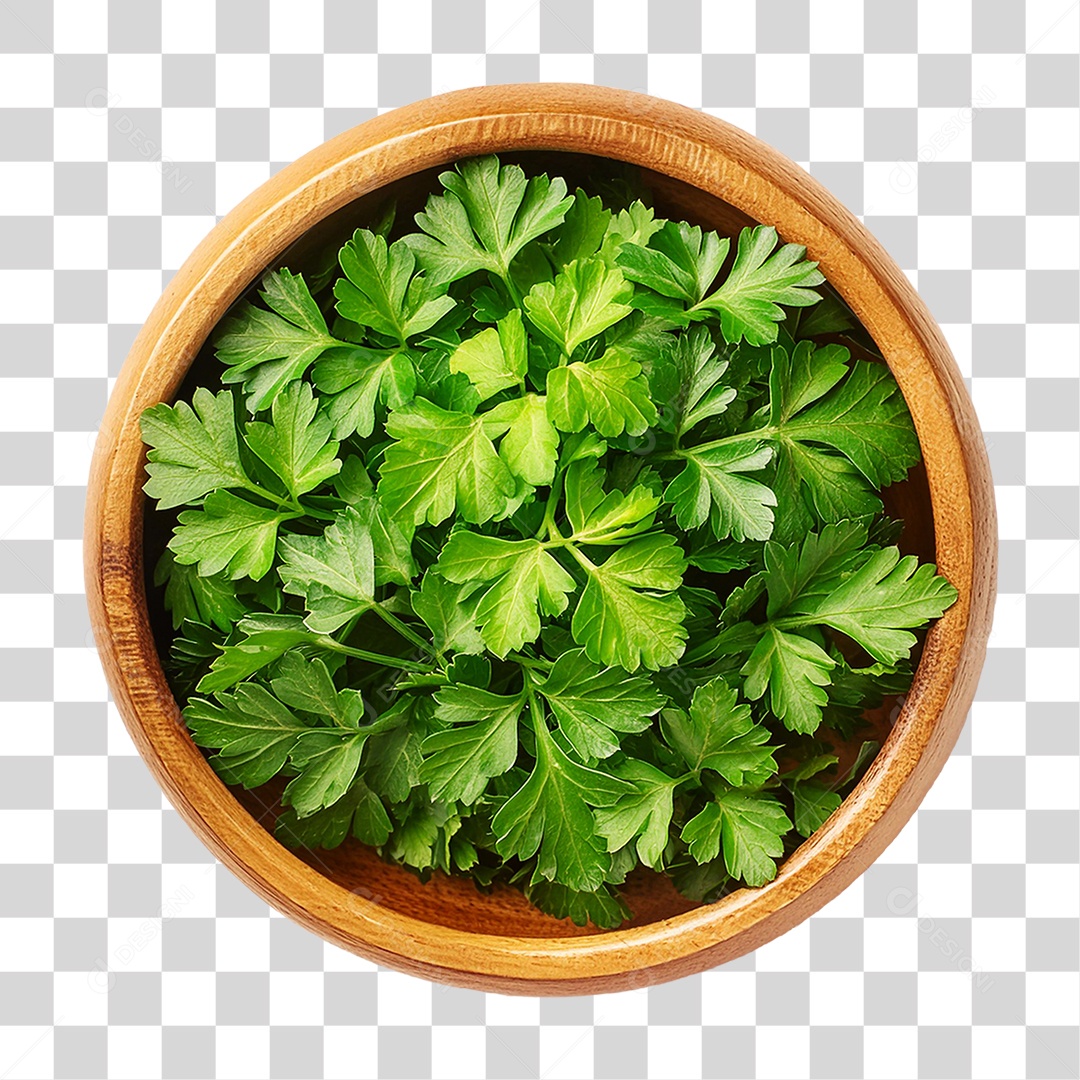 Tigela de Coentro PNG Transparente