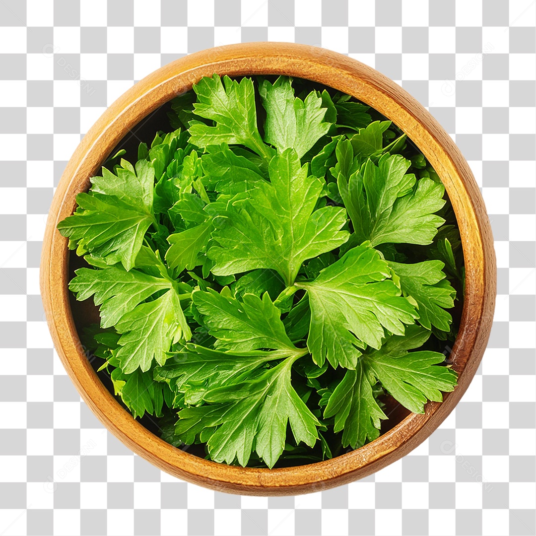 Tigela de Coentro PNG Transparente