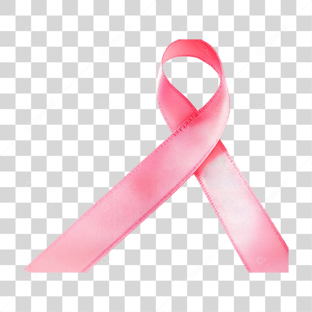Laço Rosa PNG Transparente