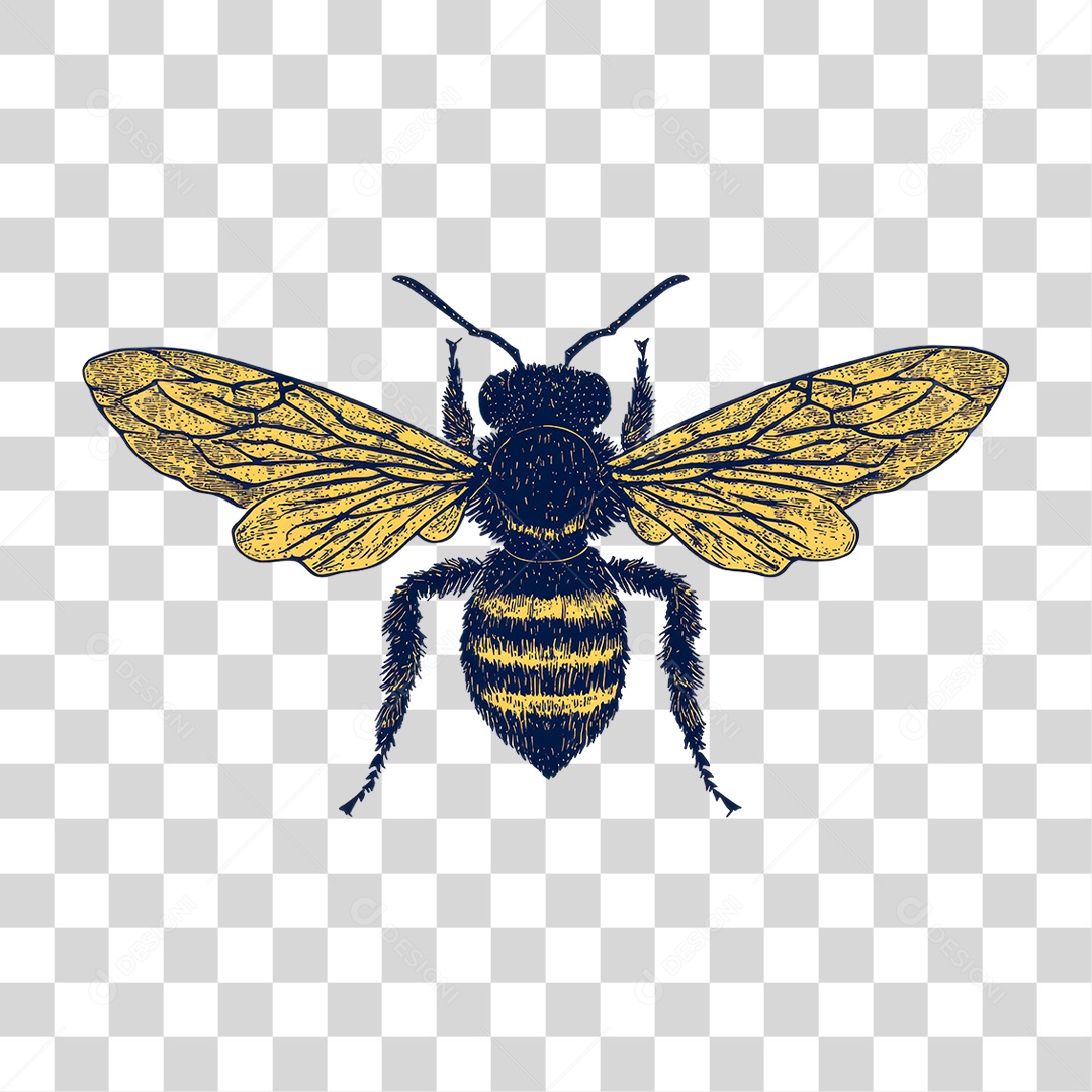 Abelha PNG Transparente