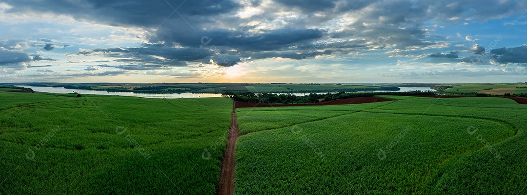 Vista aérea de campos de cana de açúcar às margens do rio Tietê ao anoitecer