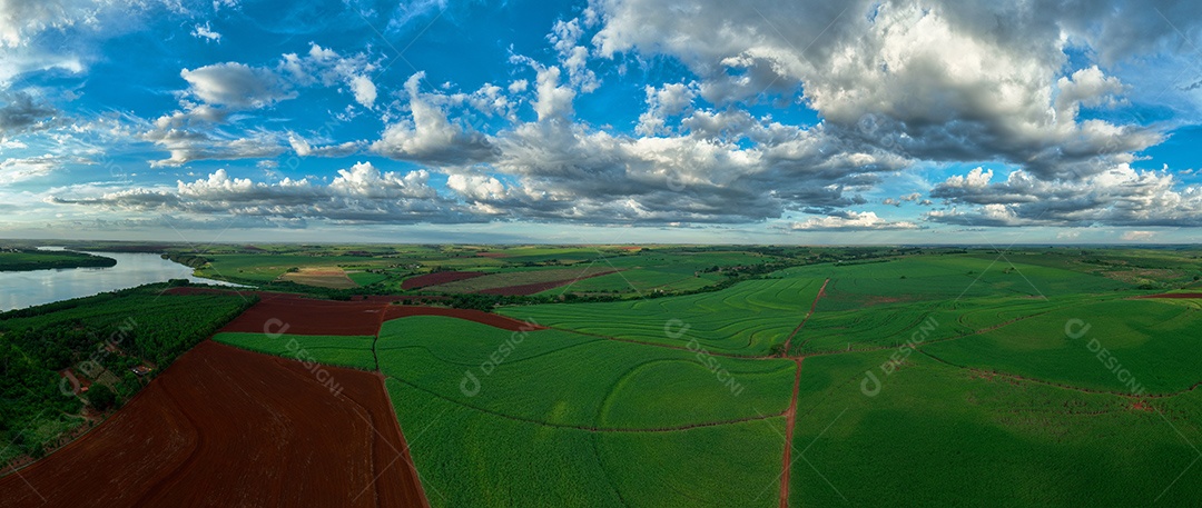 Vista aérea de campos de cana de açúcar ao anoitecer vista de drone