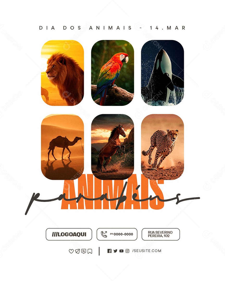 Dia dos Animais 14 de Março Parabéns Social Media PSD Editável