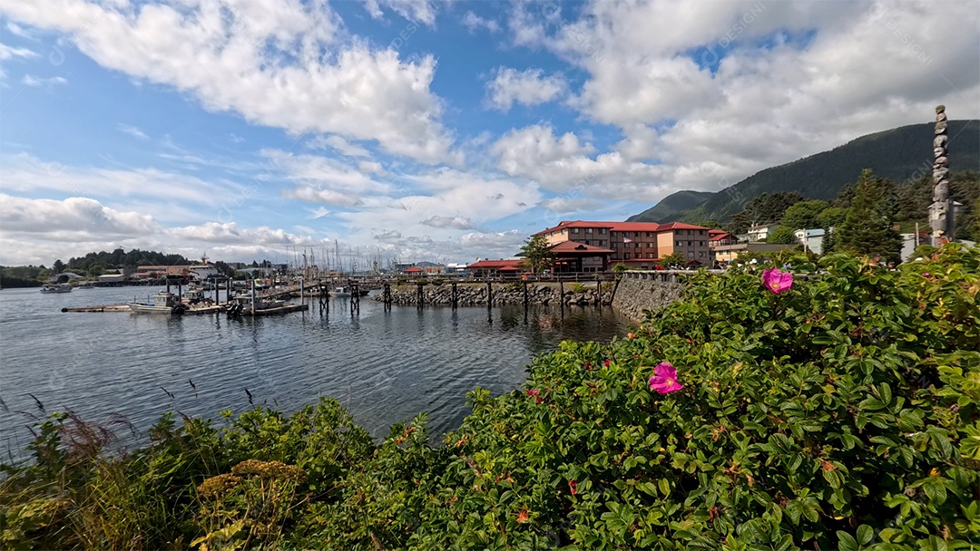 Linda paisagem de praia ondas calmas MP4