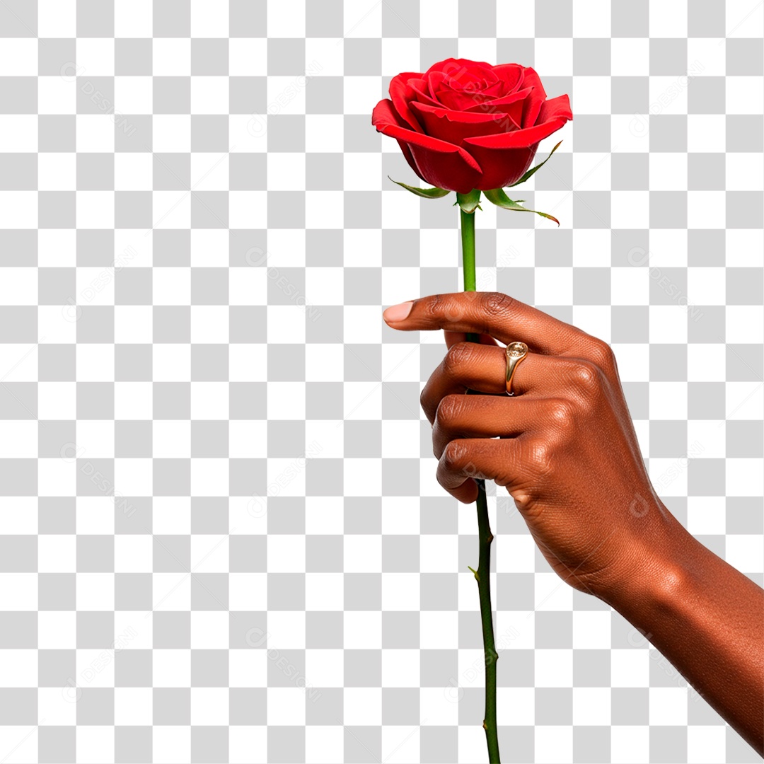 Mão Segurando Flor PNG Transparente