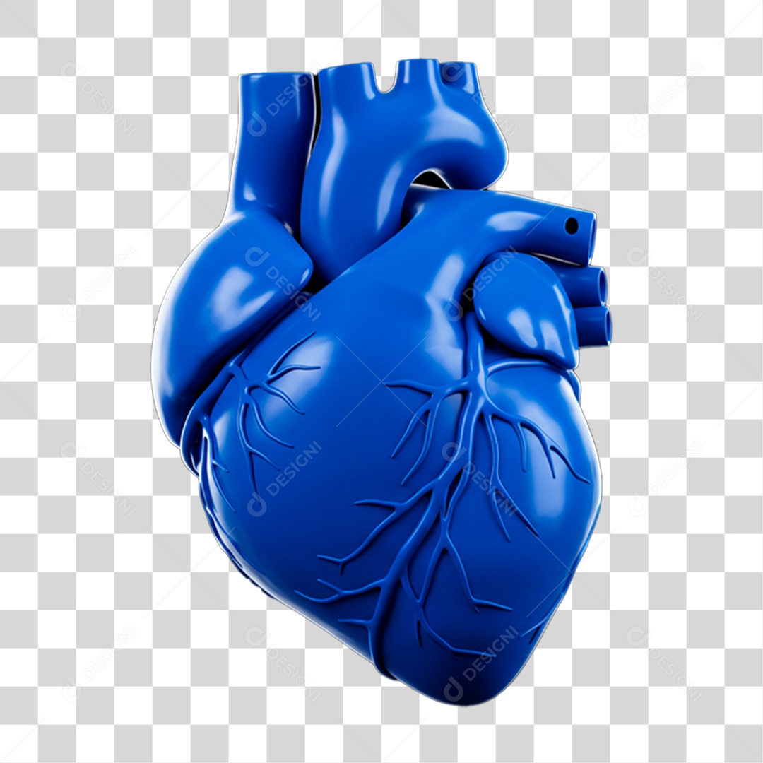 Coração Humano PNG Transparente