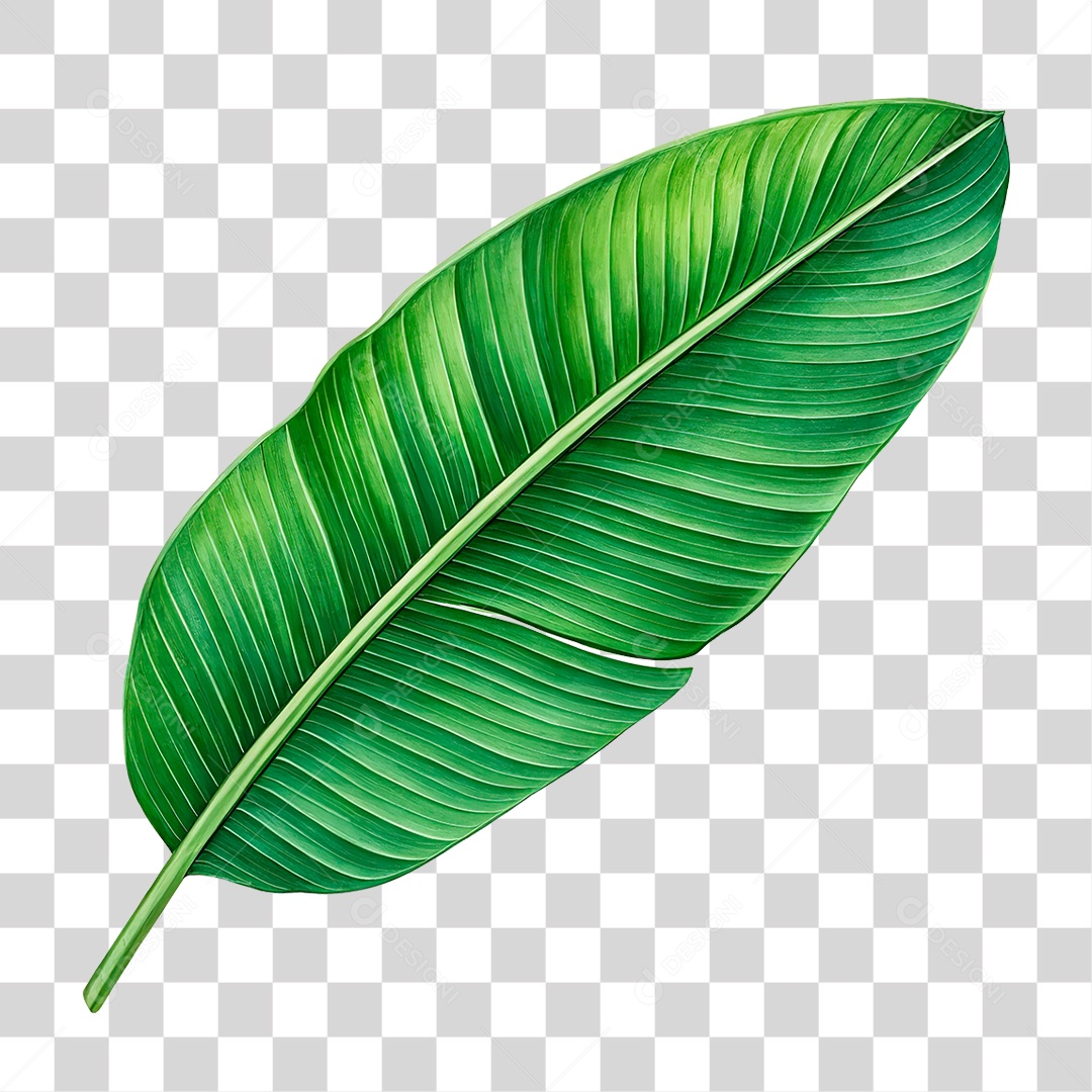 Folha de Banana PNG Transparente