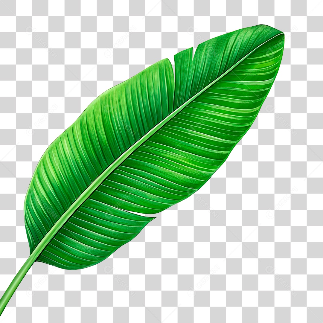 Folha de Banana PNG Transparente