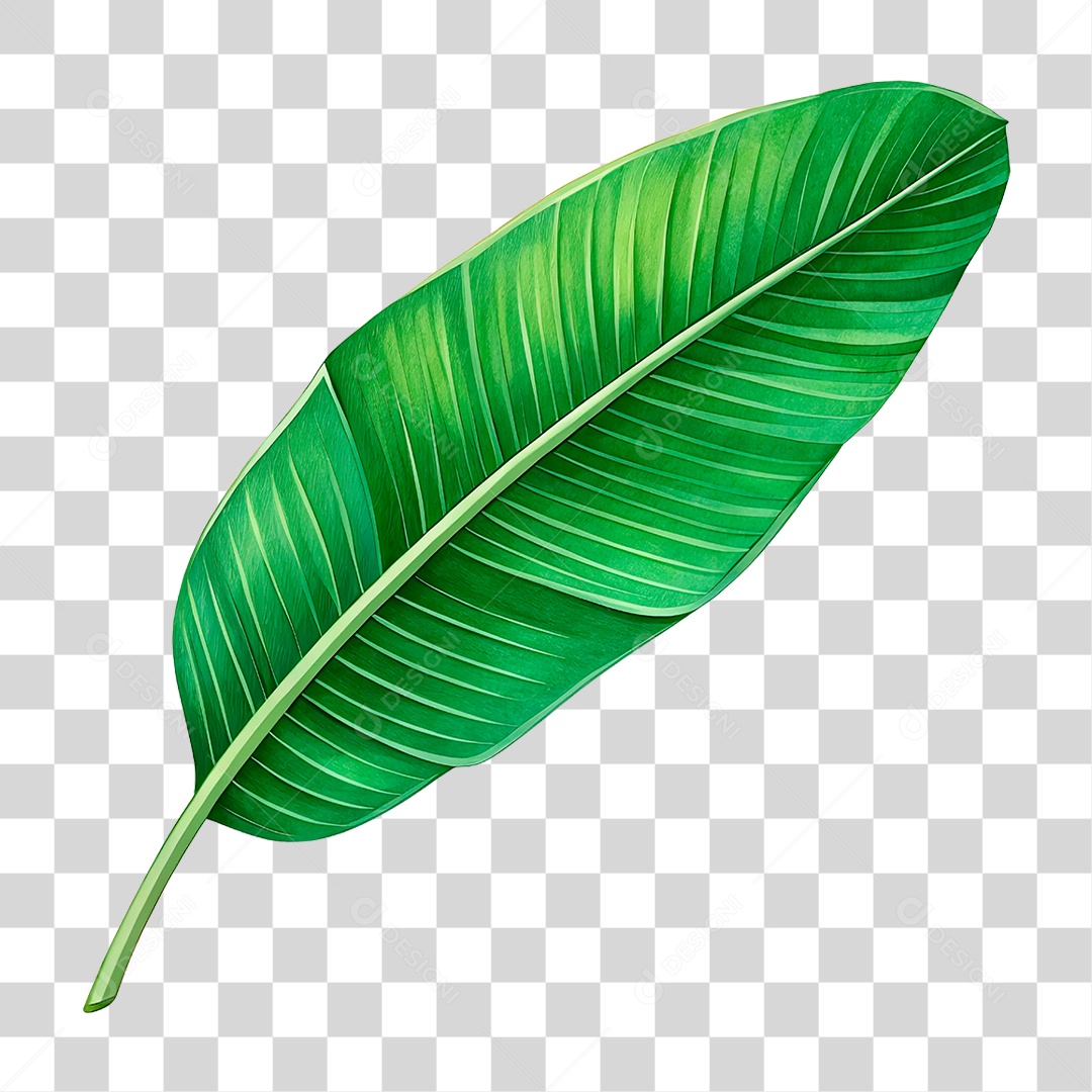 Folha de Banana PNG Transparente