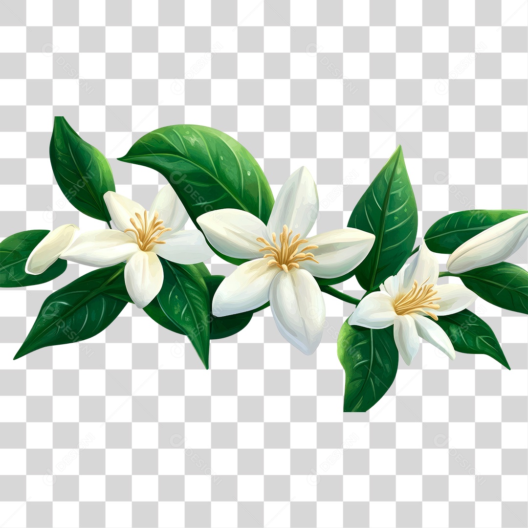 Flor Branca PNG Transparente