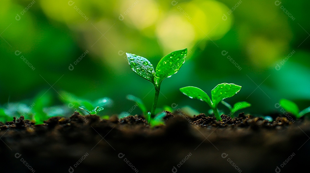 Quando o sol quente abraça a terra