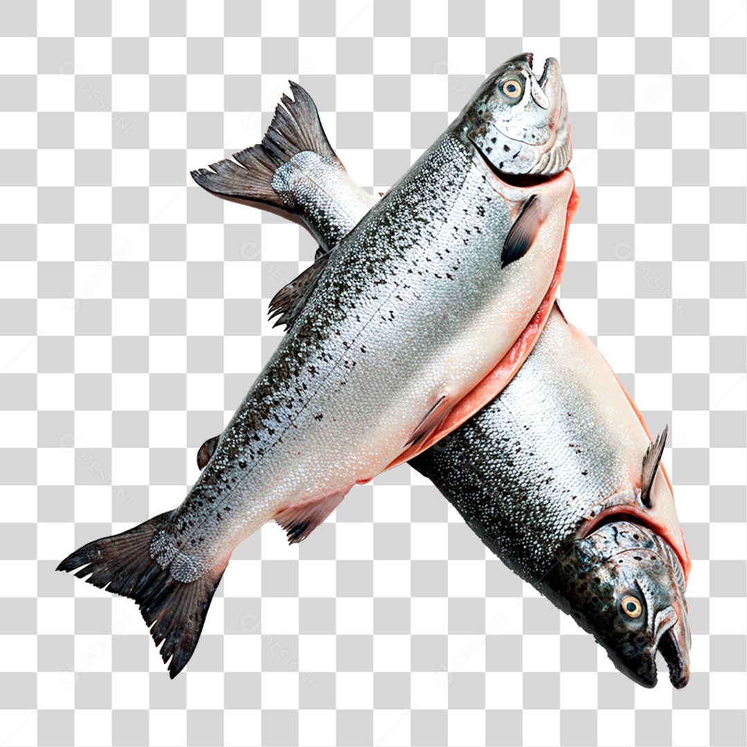 Salmão PNG Transparente