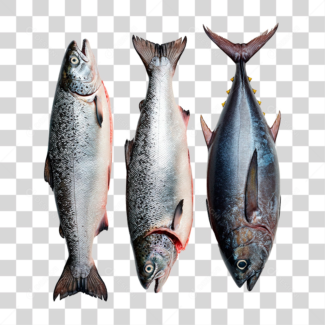 Salmão PNG Transparente