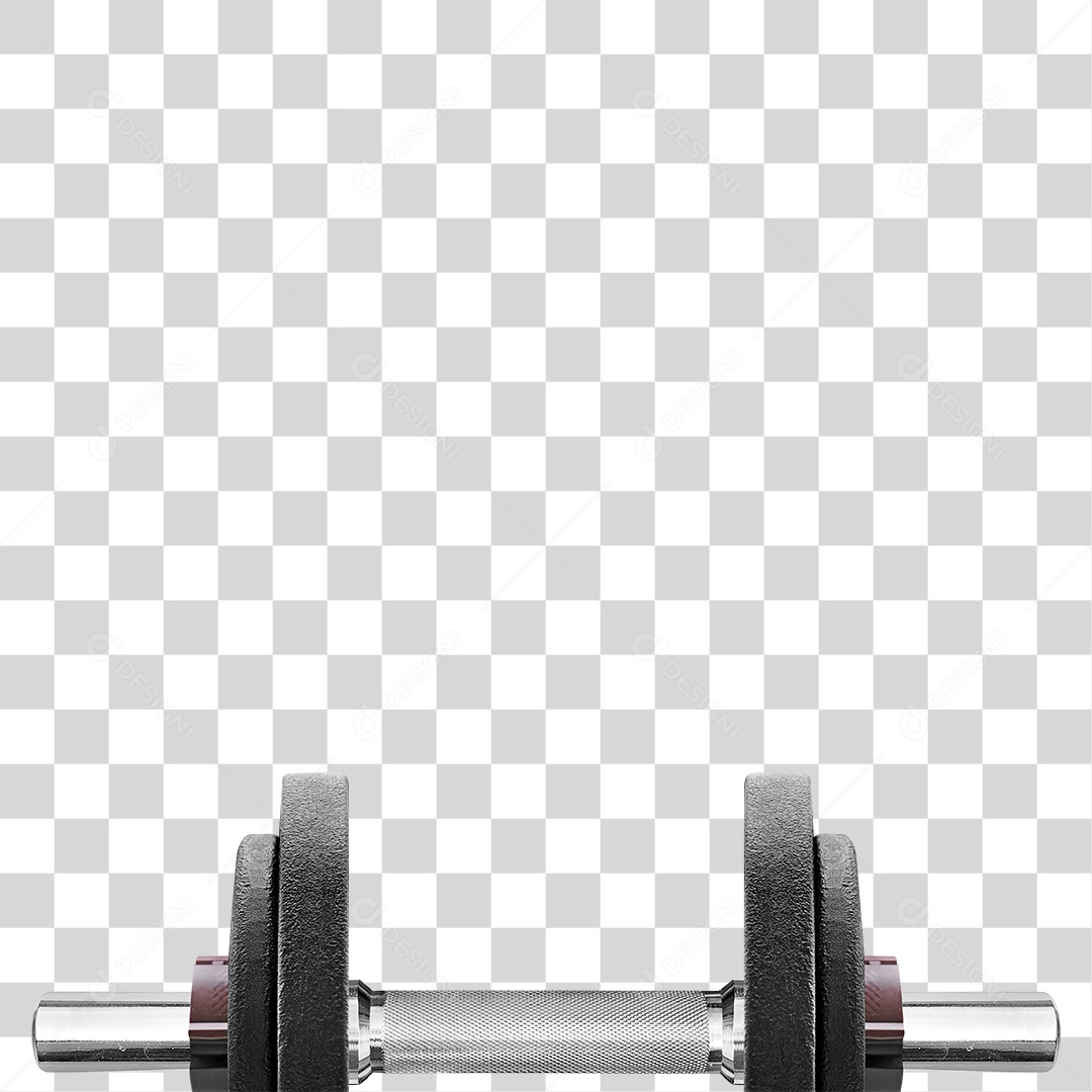 Haltere PNG Transparente