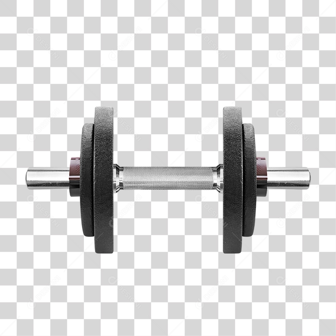 Haltere PNG Transparente