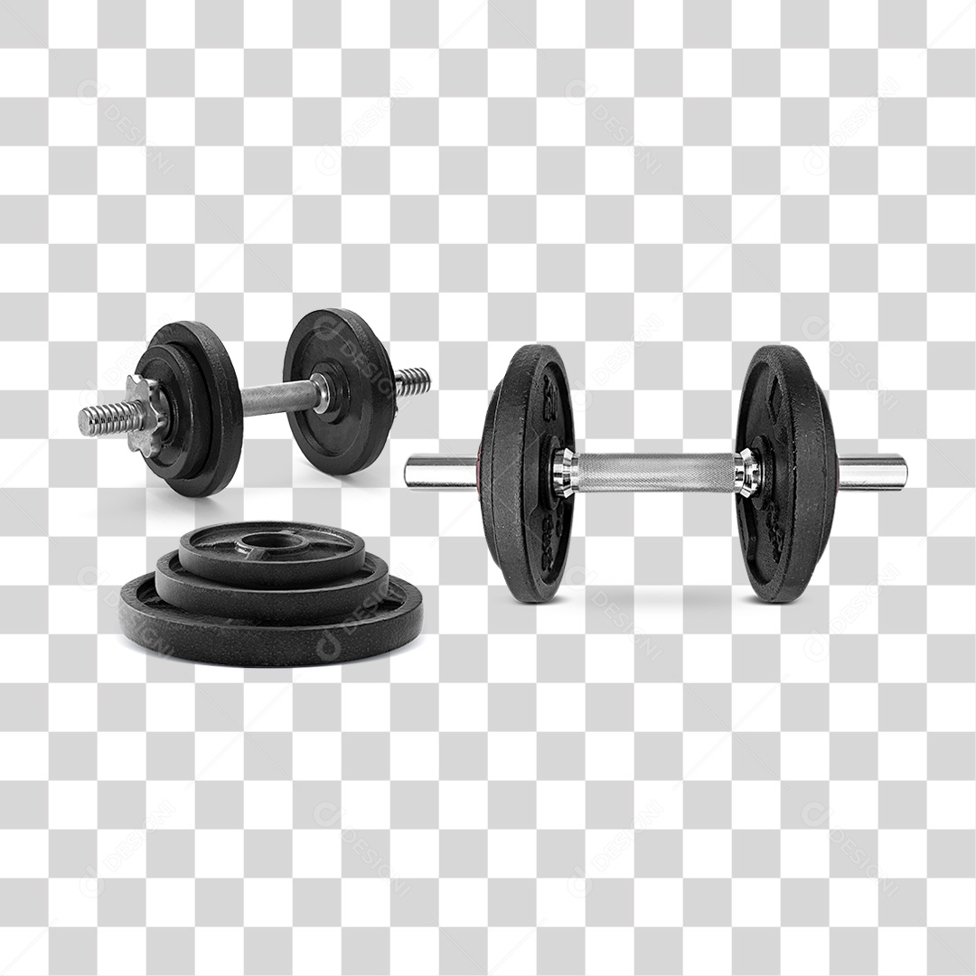 Haltere PNG Transparente