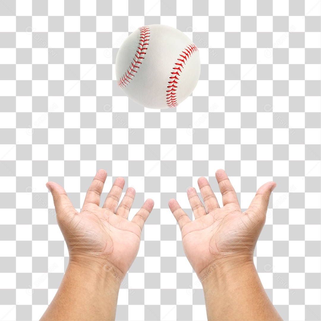 Mão Segurando Bola de Beisebol PNG Transparente