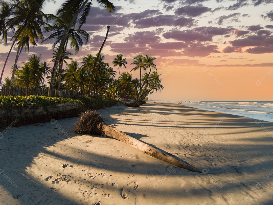 Praia tropical com palmeiras ao pôr do sol