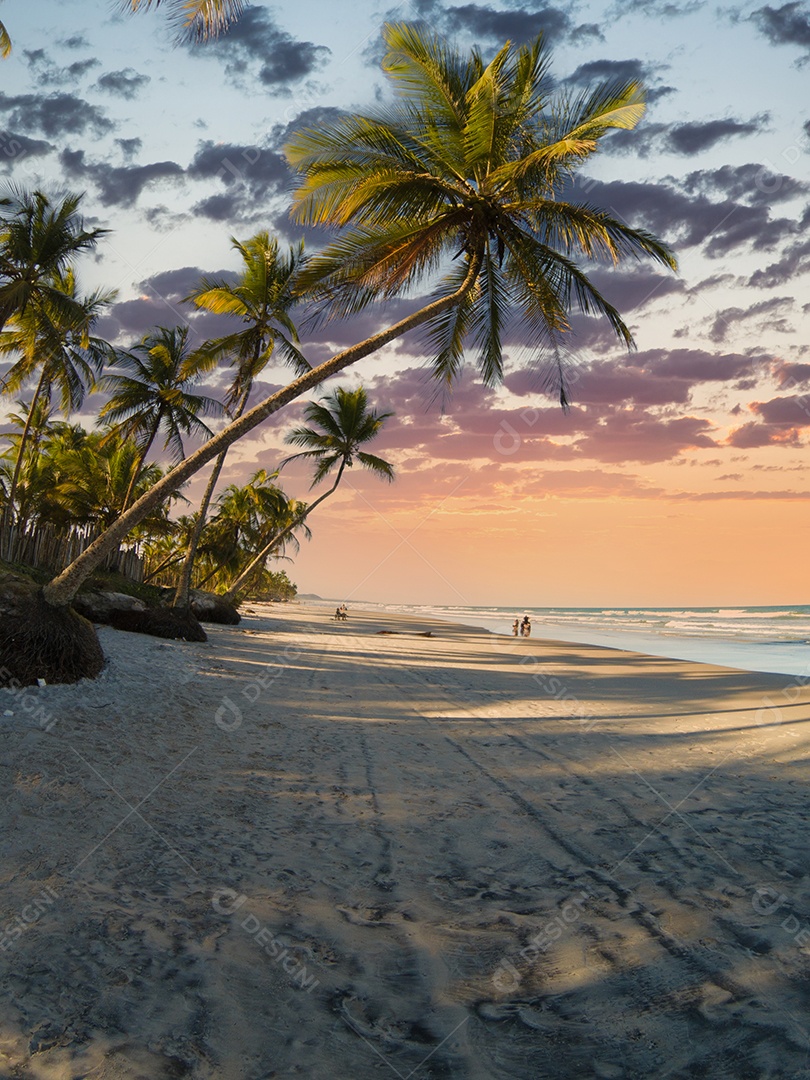 Praia tropical com palmeiras ao pôr do sol