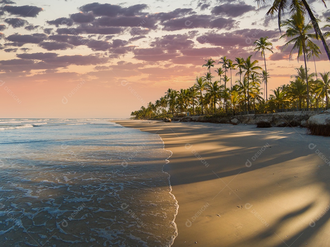 Praia tropical ao pôr do sol com palmeiras ondas calmas e reflexos dourados na areia