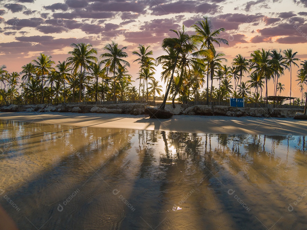 Praia tropical ao pôr do sol com palmeiras ondas calmas e reflexos dourados na areia