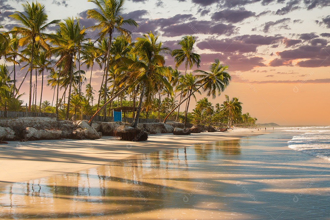 Praia tropical ao pôr do sol com palmeiras ondas calmas e reflexos dourados na areia