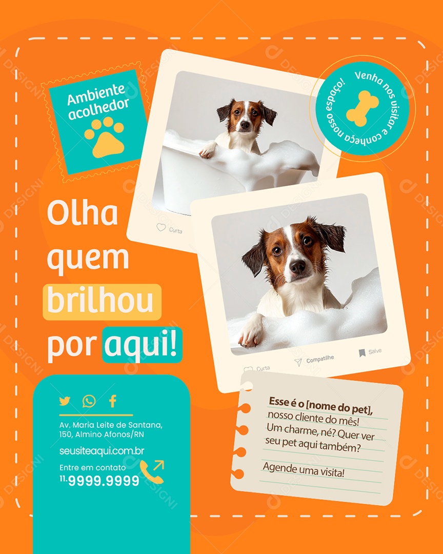 Pet Shop Olha Quem Brilhou por Aqui Social Media PSD Editável