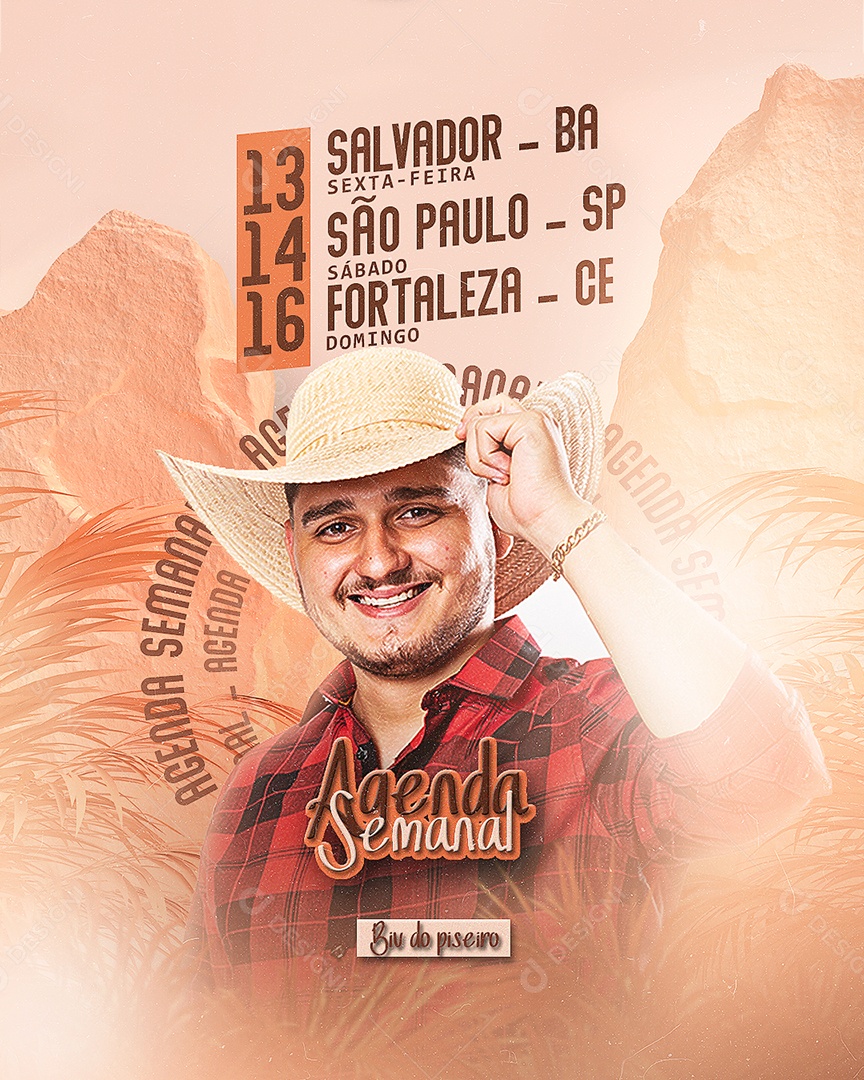 Flyer Shows Agenda Semanal Biu do Piseiro Social Media PSD Editável