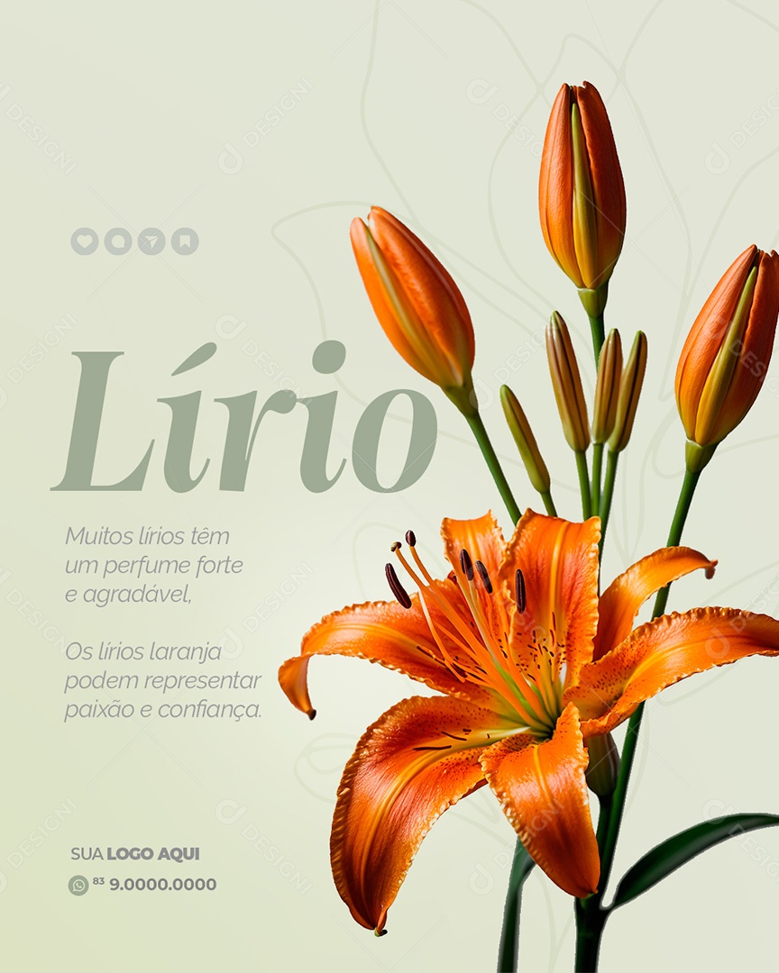 Floricultura Lírio Perfume Forte e Agradável Social Media PSD Editável