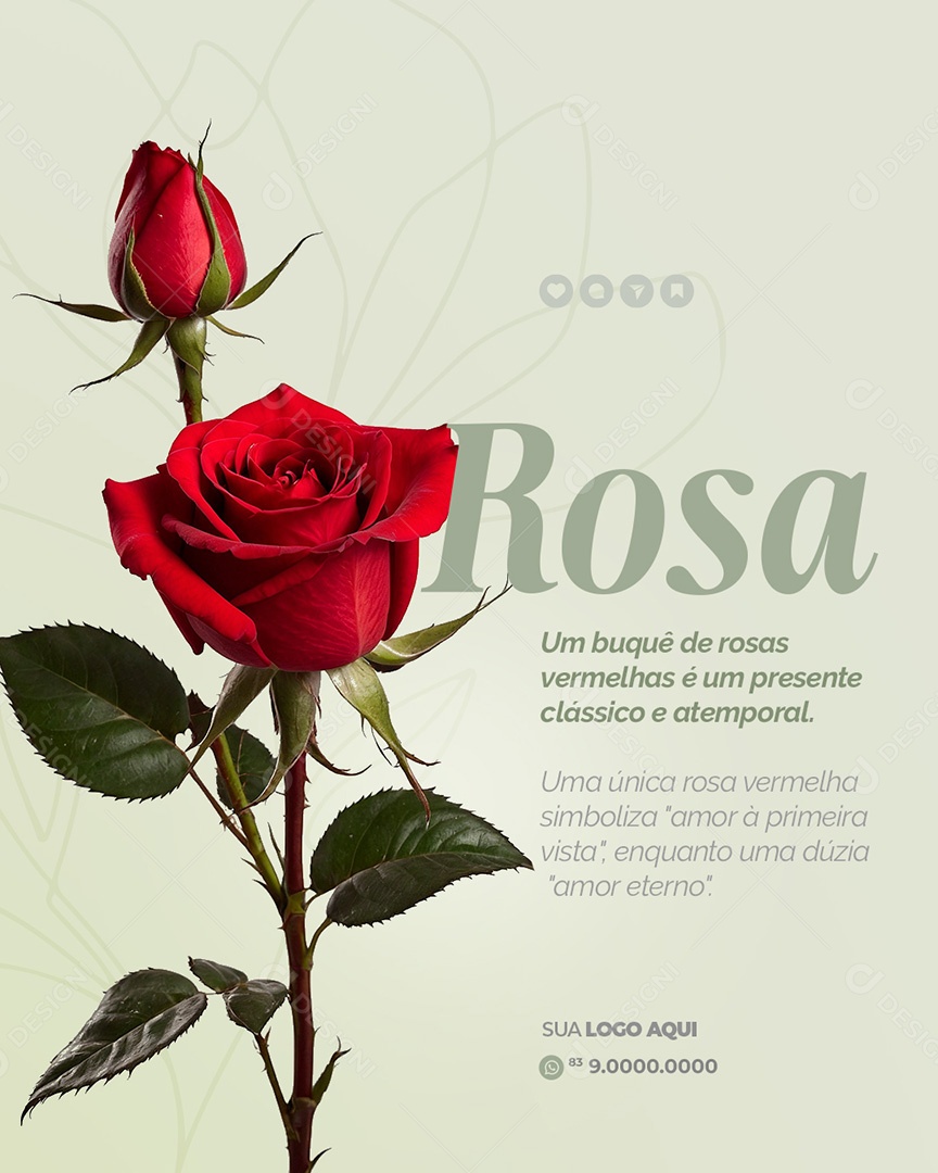Floricultura Um Buquê de Rosas Clássico e Atemporal Social Media PSD Editável