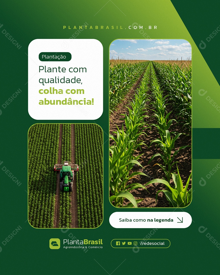 Agroindústria Plantação com Qualidade Social Media PSD Editável
