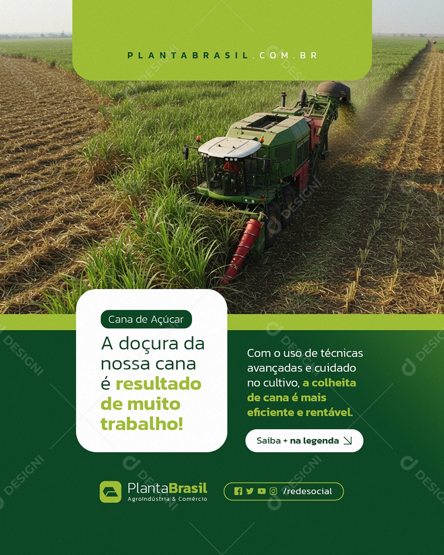 Agroindústria Cana de Açúcar Social Media PSD Editável