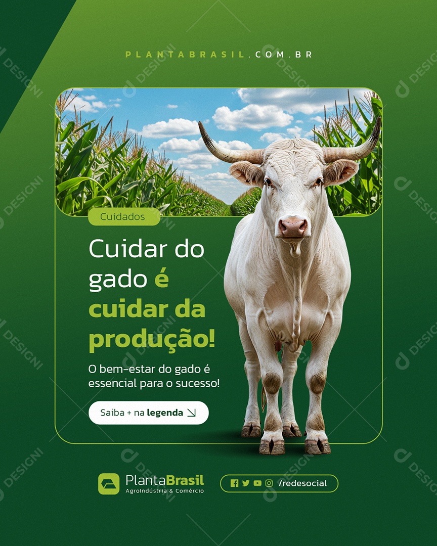Agroindústria Cuidar do Gado é Cuidar da Produção Social Media PSD Editável
