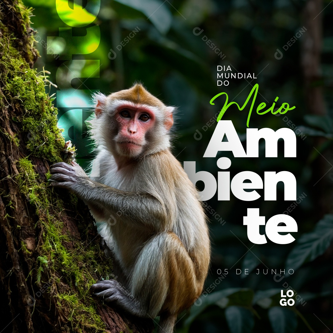 Dia Mundial do Meio Ambiente 5 de Junho Social Media PSD Editável