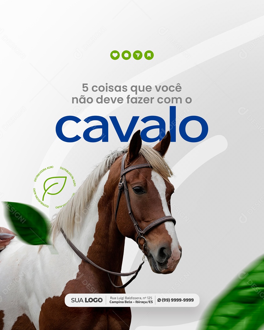 Montaria Coisas Que Você Não Deve Fazer Com O Cavalo Social Media PSD Editável