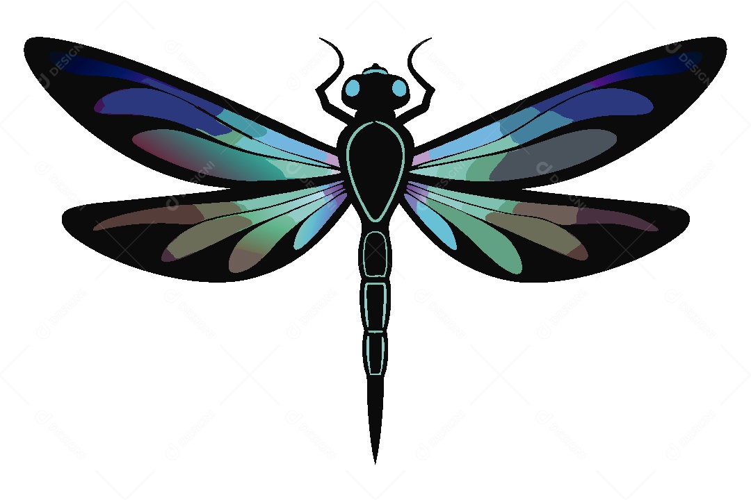 Libélula Ilustração Vetor EPS