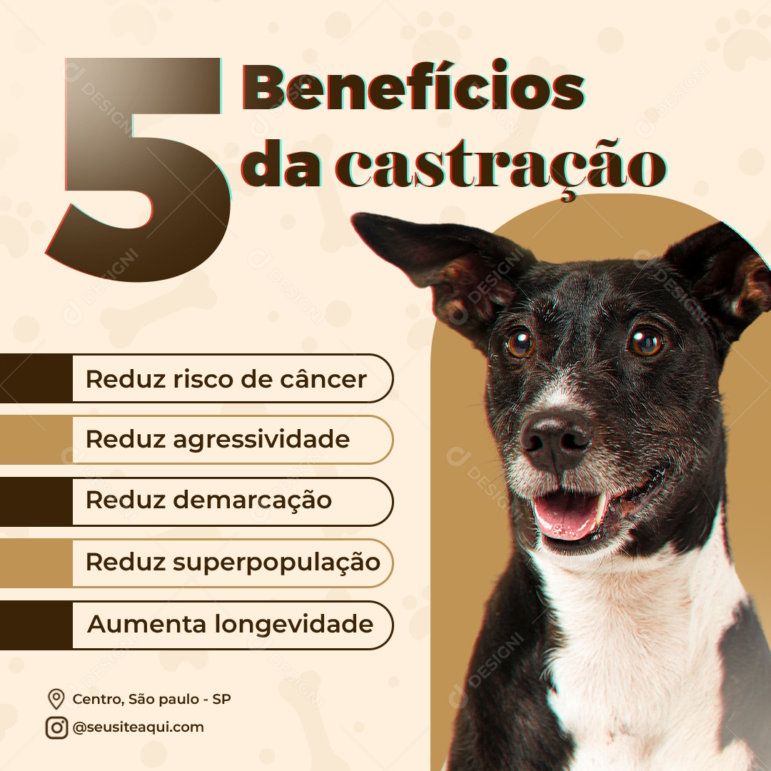 Benefícios da Castração Social Media PSD Editável