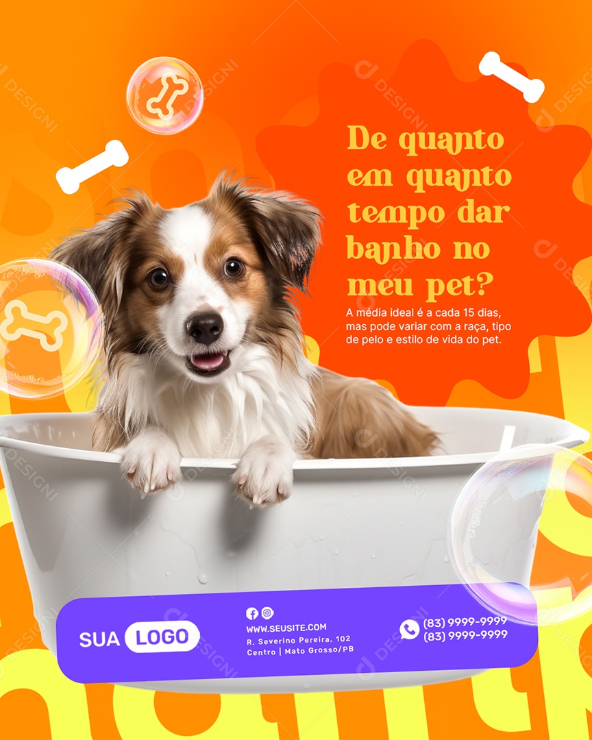 Pet Shop de Quanto em Quanto Tempo dar Banho no seu Pet Social Media PSD Editável