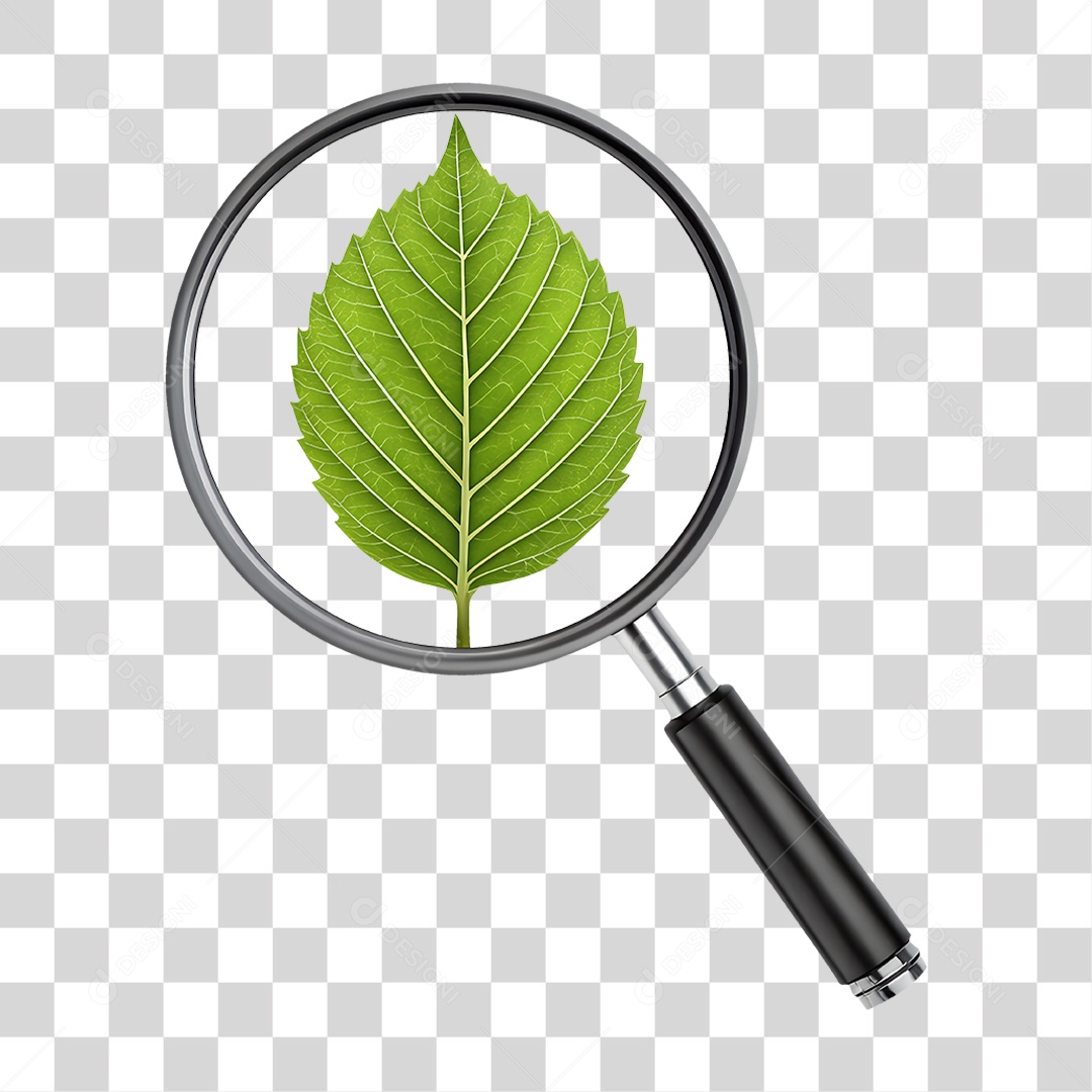 Ícone de Botânica PNG Transparente