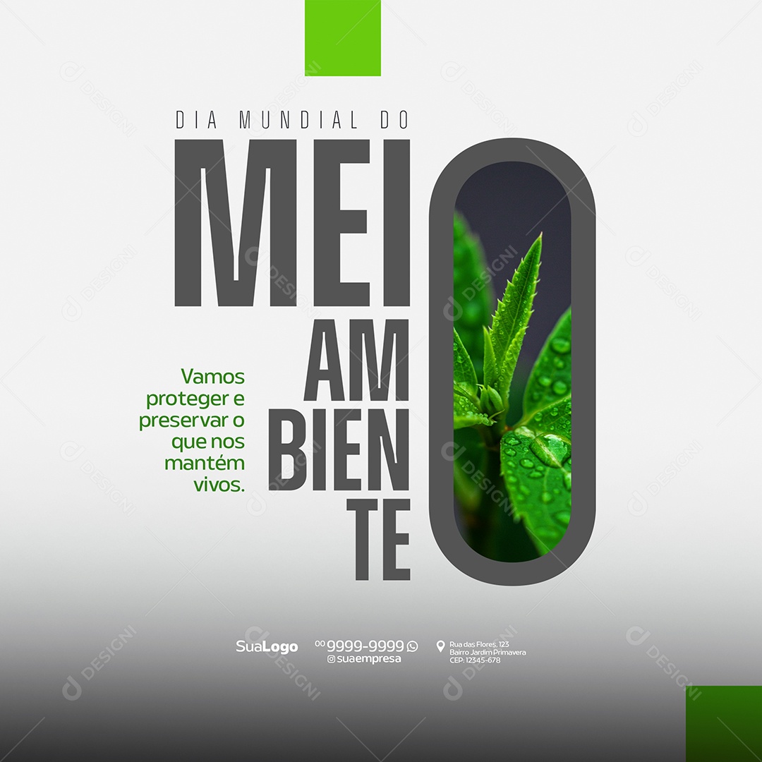 Dia Mundial Do Meio Ambiente Vamos Proteger e Preservar Social Media PSD Editável