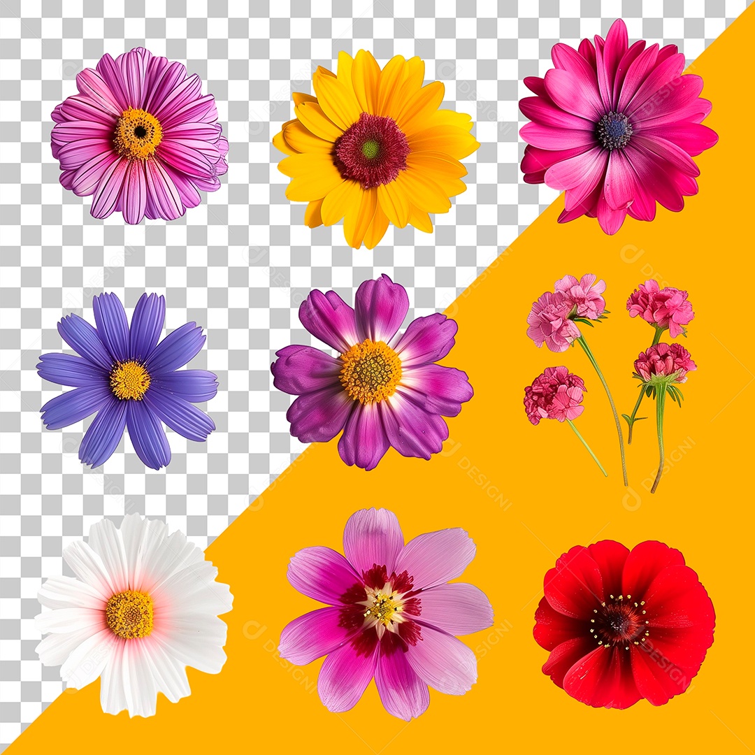 Flores Coloridas Elemento 3D PSD