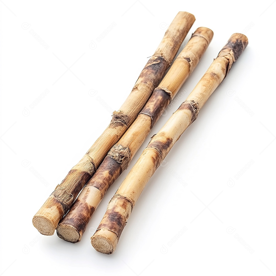 Cana-de-açúcar isolada em fundo branco