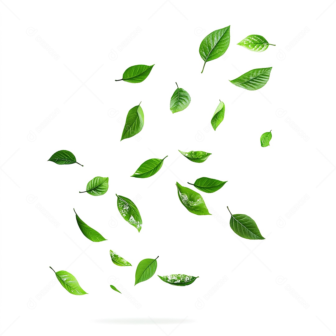 Folhas verdes flutuando em fundo branco isolado