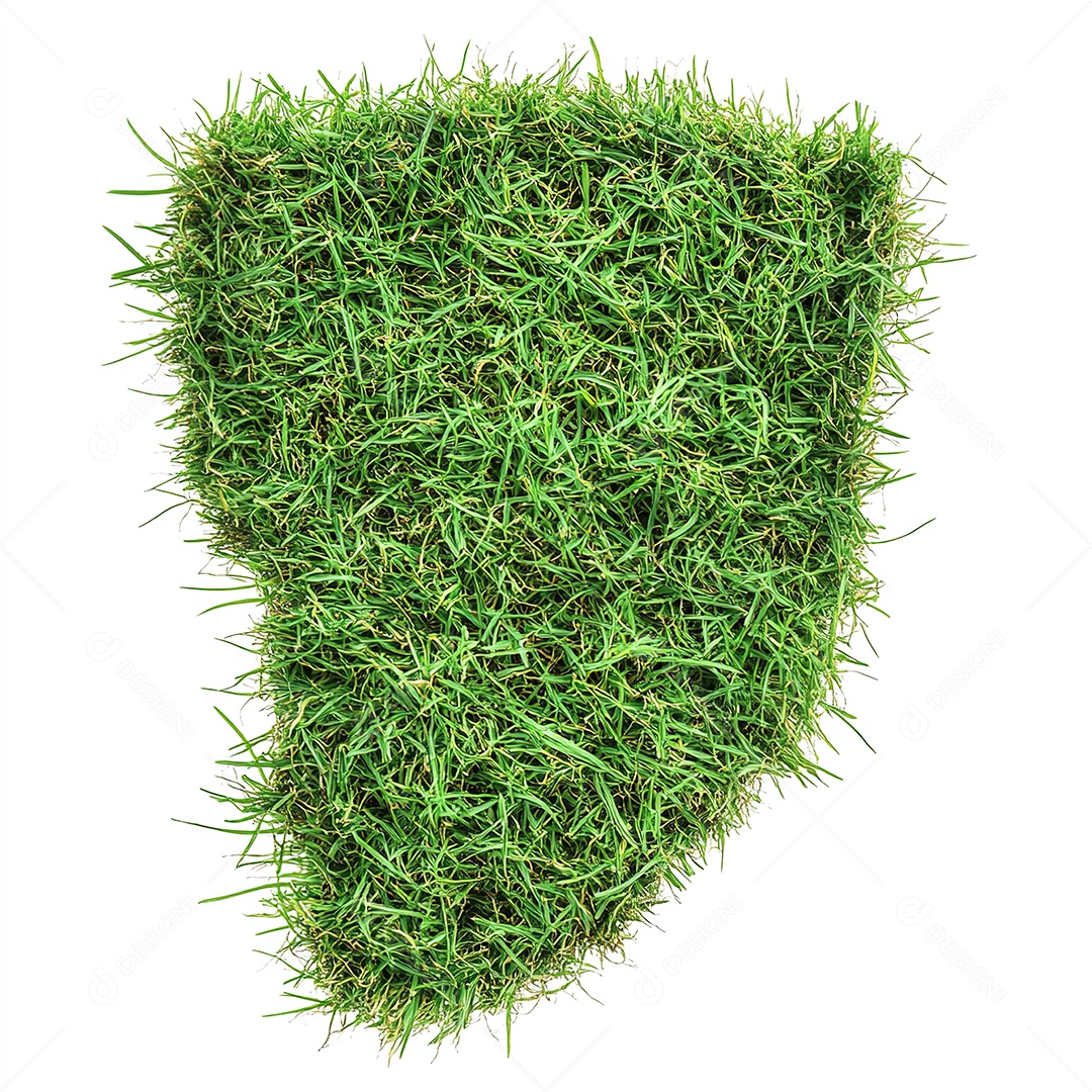 Pedaço de grama verde fresca recortado em fundo branco